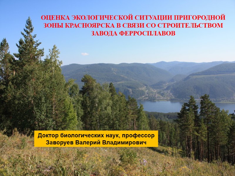 ОЦЕНКА ЭКОЛОГИЧЕСКОЙ СИТУАЦИИ ПРИГОРОДНОЙ ЗОНЫ КРАСНОЯРСКА В СВЯЗИ СО СТРОИТЕЛЬСТВОМ ЗАВОДА ФЕРРОСПЛАВОВ Доктор биологических